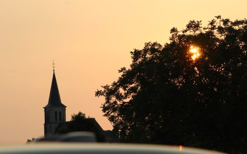 IMG_2925